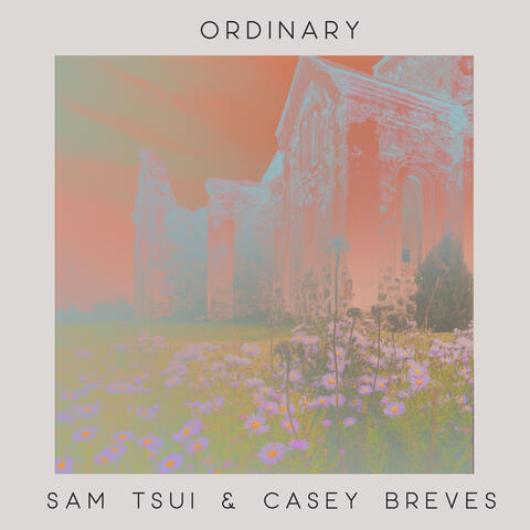 Ordinary album art
