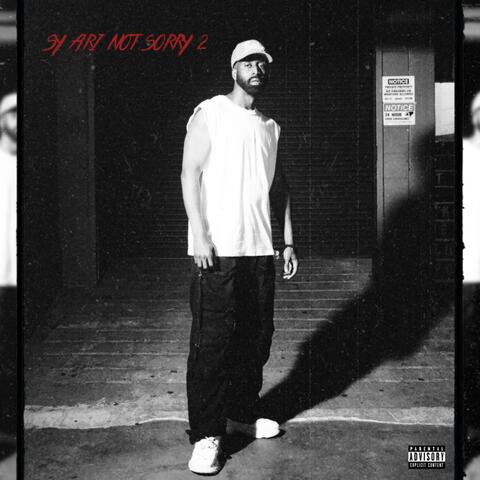Sy Ari Not Sorry 2 album art
