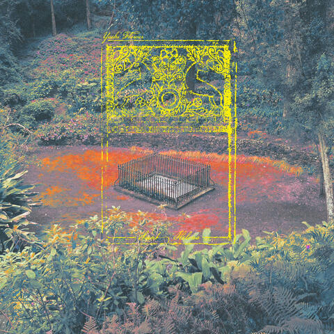 Saint Helena album art
