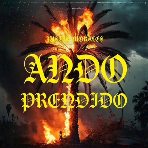 Ando Prendido album art