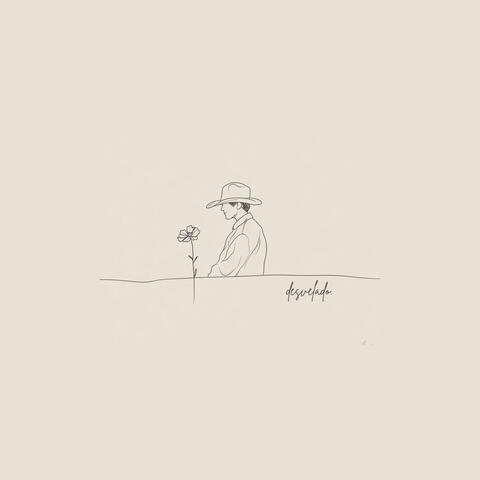 Desvelado album art