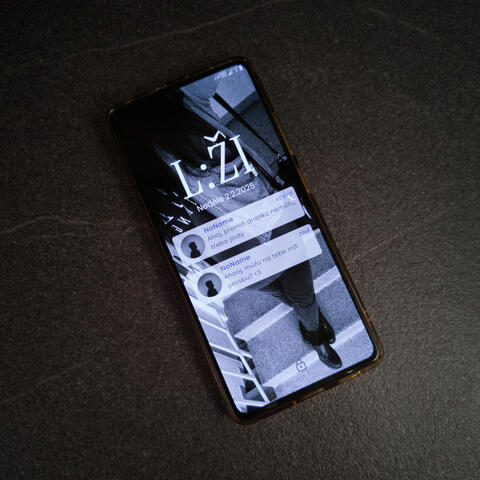 L:ŽI album art