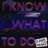 Image of I Know What To Do - DJWS Remix