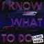 I Know What To Do - DJWS Remix album artwork
