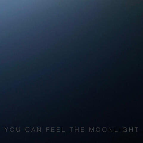 you can feel the moonlight album art