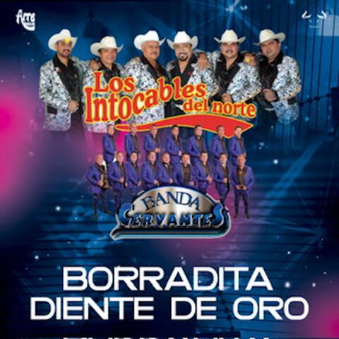 Borradita Diente de Oro album art