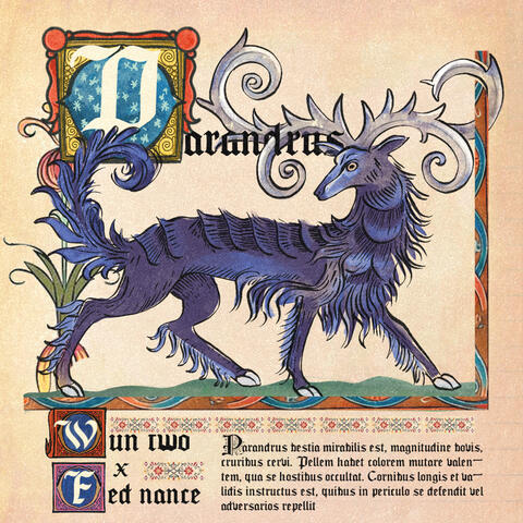 parandrus album art