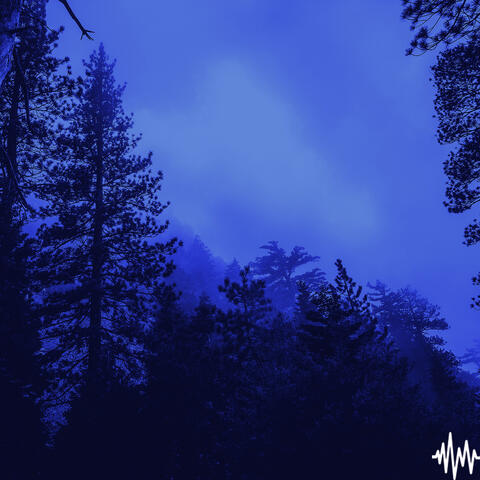 Nocturnal album art