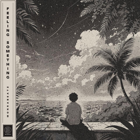 Feeling Something album art