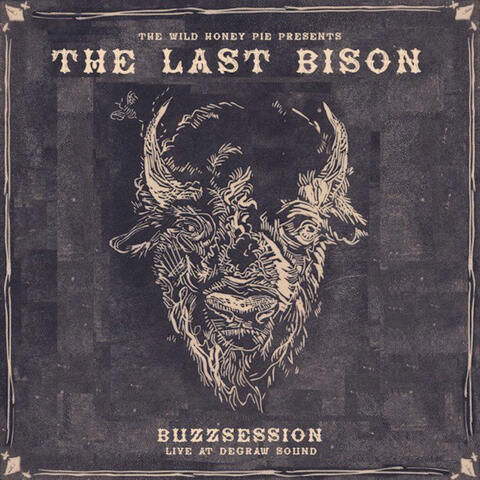 The Last Bison: The Wild Honey Pie Buzzsession album art