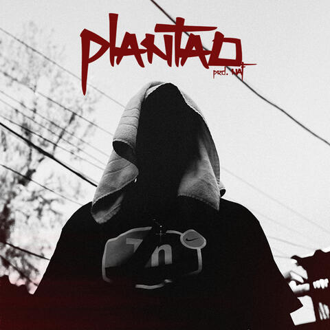 Plantão album art