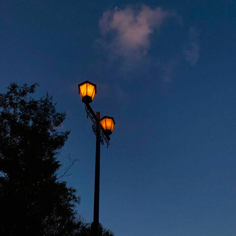 before the night falls album art