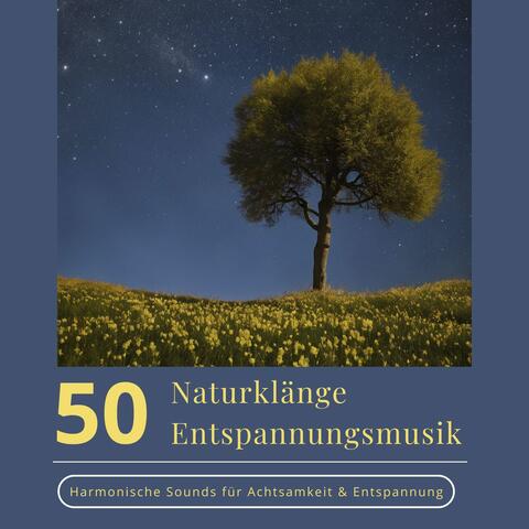 50 Naturklänge Entspannungsmusik - Harmonische Sounds für Achtsamkeit & Entspannung album art