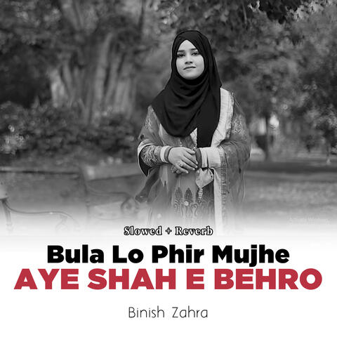 Bula Lo Phir Mujhe Aye Shah e Behro (Lofi-Mix) album art