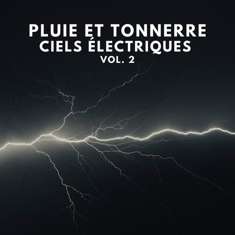 Pluie et Tonnerre: ciels électriques Vol.2 album art