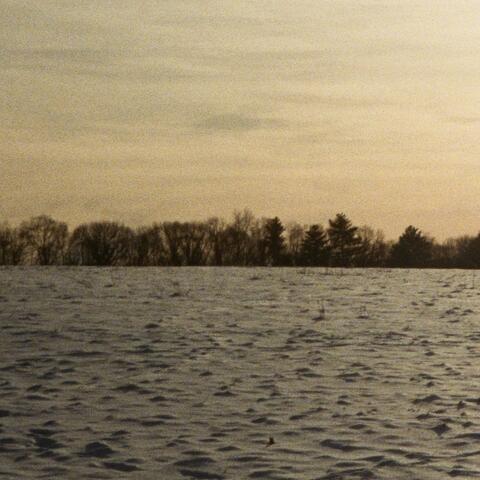 the yellow calm album art
