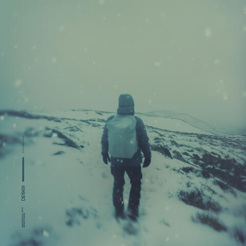 infinite reverie album art