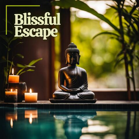 Blissful Escape: Soothing Asian Harmonies for Stress Reduction & Mindful Zen Serenity album art