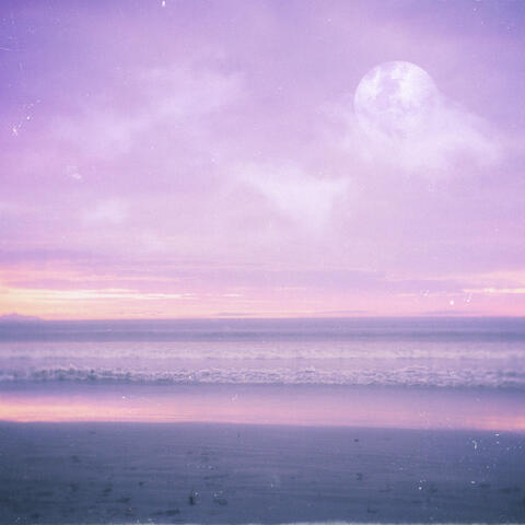 the sea's light deceives my gaze album art