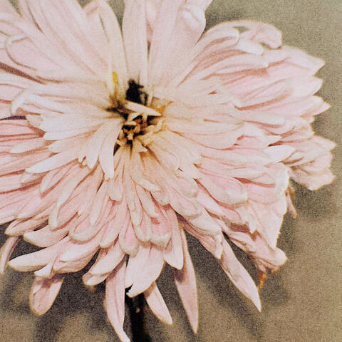 Songs That Made Me album art