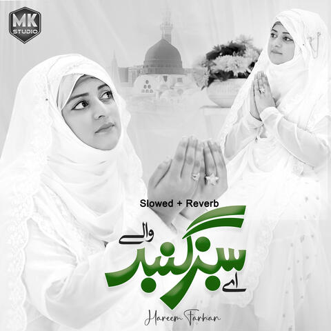 Aye Sabz Gumbad Wale (Lofi-Mix) album art