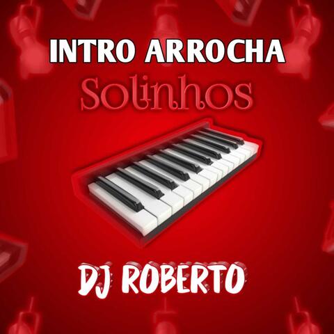 Intro Arrocha Solinhos album art