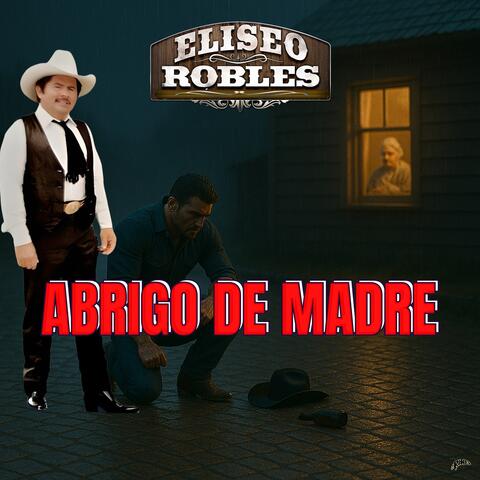 Abrigo De Madre album art