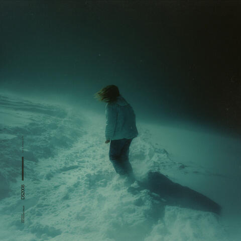 the healing fields album art