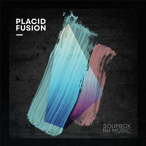 Placid Fusion album art