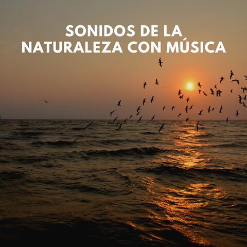 Sonidos de la Naturaleza con Música album art