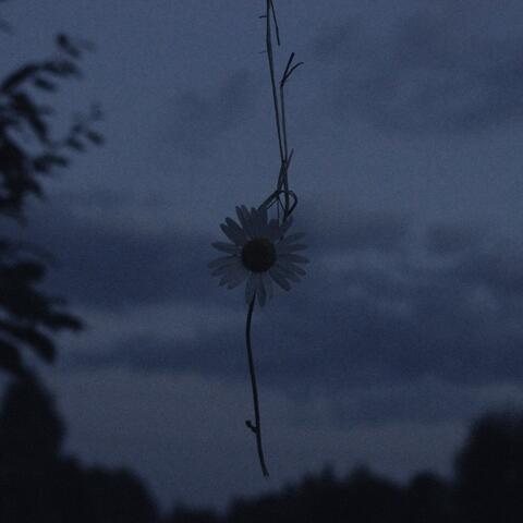 iwannadie album art