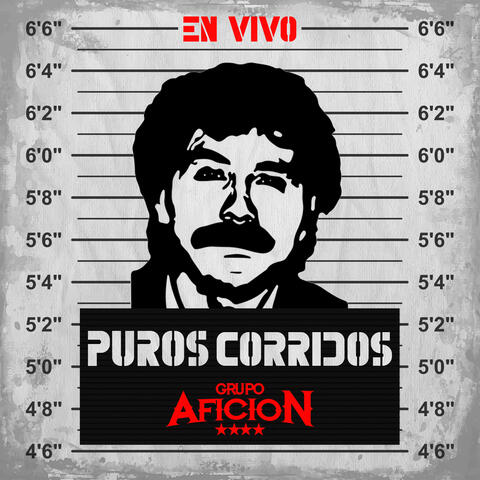 Puros Corridos (En Vivo) album art