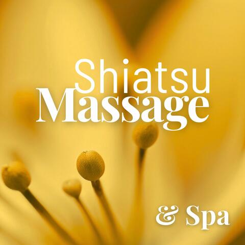 20 Shiatsu Massage & Spa – Beruhigende Musik für Entspannung und Stressabbau album art