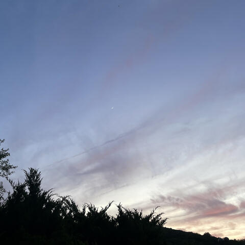 moments before dawn album art