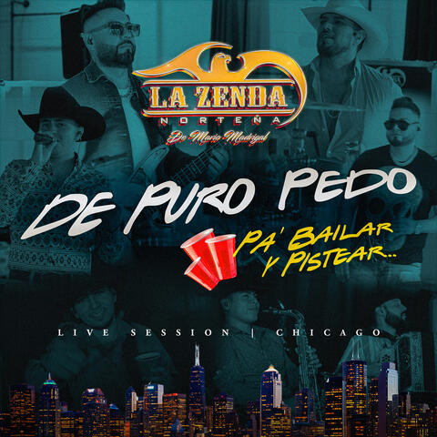 De Puro Pedo Pa' Bailar Y Pistear album art