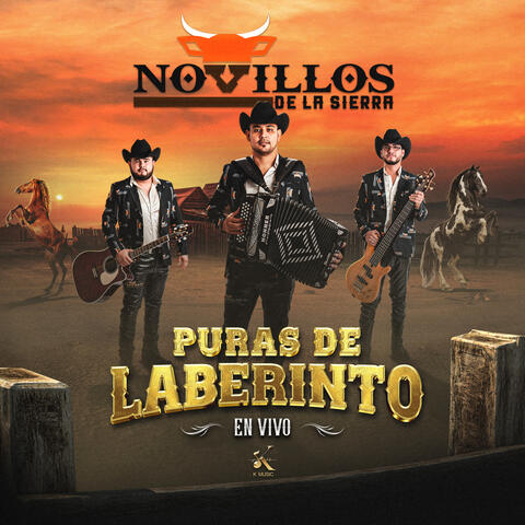 Puras de Laberinto (En Vivo) album art