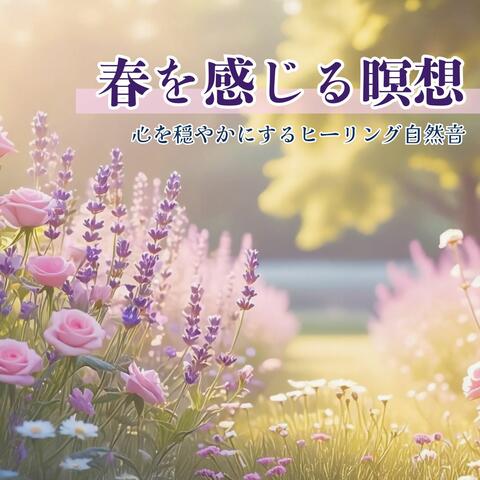 春を感じる瞑想 - 心を穏やかにするヒーリング自然音 album art