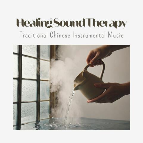 Healing Sound Therapy: Traditional Chinese Instrumental Music for Chinese Medicine Practice & Holistic Therapy album art