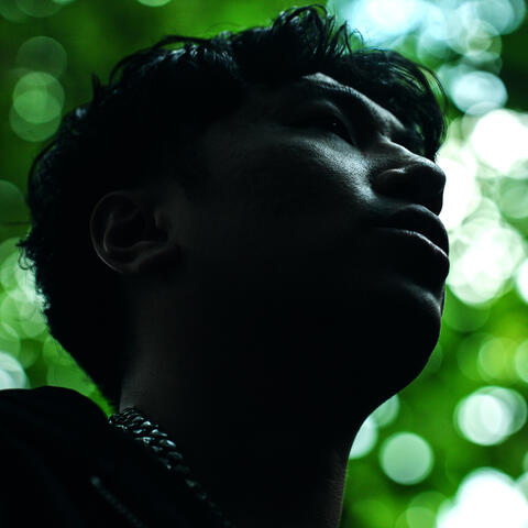 Did It Again album art