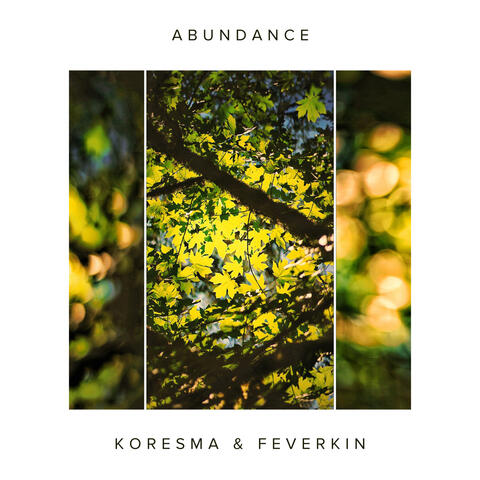 Abundance album art