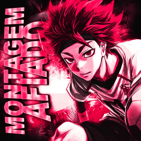 Montagem Afiado album art