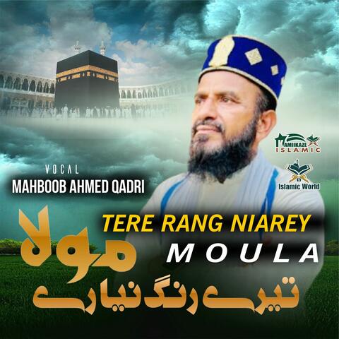 TERE RANG NIAREY MOULA album art