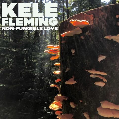 Non-Fungible Love album art