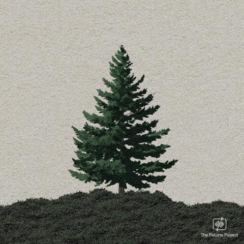 Under The Pine Tree album art