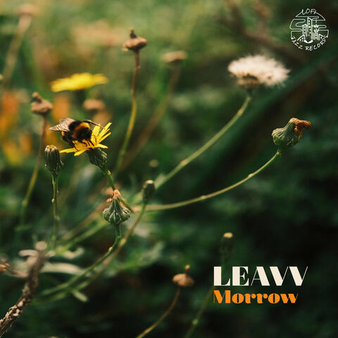 Morrow album art