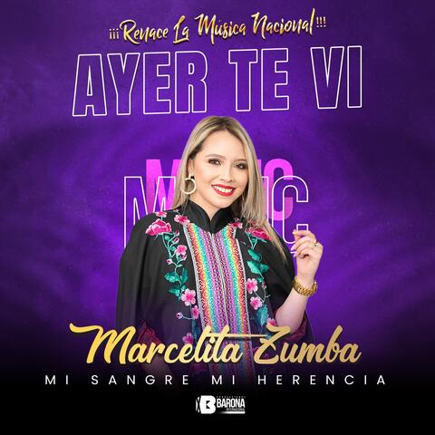 Ayer Te Vi (Mix Nacional La Fiesta de San Juan) album art