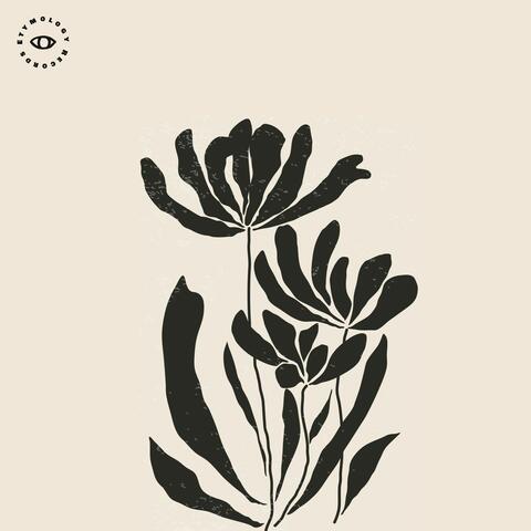 like a flower album art