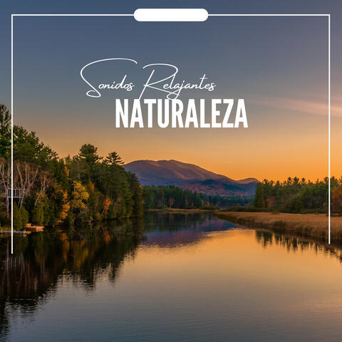 Sonidos Relajantes Naturaleza album art