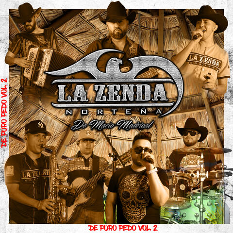 De Puro Pedo Vol. 2 album art