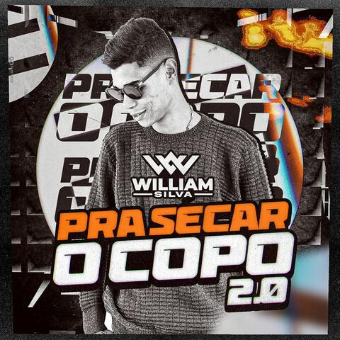 Pra Secar o Copo 2.0 album art